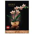 Produktbild: LEGO Botanicals: Mini-Orchidee 274 Stk. (10343) 18+ Neu & Versiegelt