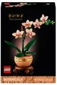 Produktbild: LEGO Botanik 10343 Kleine Orchidee