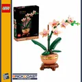 Produktbild: LEGO Botanicals 10343 Mini-Orchidee + NEU & OVP