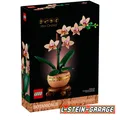 Produktbild: LEGO® Botanical-Collection 10343 Mini-Orchidee NEU & OVP