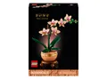 Produktbild: LEGO 10343 Botanicals - Mini-Orchidee - Geschenkidee, Neu & OVP