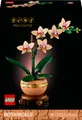 Produktbild: LEGO Botanicals 10343 Mini-Orchidee