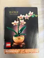 Produktbild: LEGO Botanicals: Mini-Orchidee (10343)