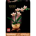 Produktbild: 10343 LEGO® Botanicals™ Mini-Orchidee