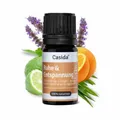 Produktbild: RUHE & ENTSPANNUNG Duftmischung ätherisches Öl 5 ml