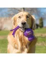 Produktbild: KONG Hundespielzeug Wubba Assorted Colors Large 32cm