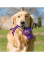 Produktbild: KONG Hundespielzeug Wubba Assorted Colors Large 32cm 340461