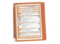 Produktbild: DURABLE Wandhalter-Komplett-Set, 5 Klarsichttafeln DIN A4, VE 2 Stk, Rahmen orange