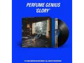 Produktbild: Perfume Genius - Glory - (Vinyl)