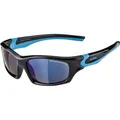 Produktbild: ALPINA Kinder Sportbrille 