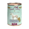 Produktbild: Terra Canis | Pferd mit Steckrübe, Fenchel und Salbei | getreidefrei | Nassfutter | 12x400g