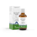 Produktbild: Nervoregin® Tropfen