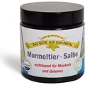 Produktbild: Inntal Murmeltier Salbe, 110 ml
