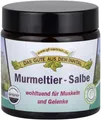 Produktbild: Axisis GmbH Murmeltier Salbe 110 ml Salbe - 110 ml Salbe 11026043