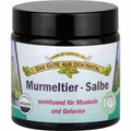 Produktbild: MURMELTIER SALBE 110 ml PZN11026043