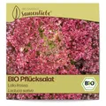 Produktbild: Samenliebe BIO Pflücksalat Samen alte Sorte Lollo Rossa nussiger Lollosalat gekrauster Salat rot 500 Samen samenfestes Gemüse Saatgut für Gewächshaus Freiland und Balkon BIO Gemüsesamen