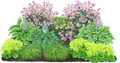 Produktbild: Dehner Bio Stauden-Set Schattengarten, 12 Pflanzen für schattige Standorte, mehrjährig, je 5-20 cm exkl. Pflanztopf, Ø Topf je 9 cm, grün / bunt