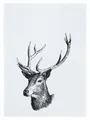 Produktbild: 17,30 Hamburg Geschirrtuch Hirsch, Dunkelgrau, (1-tlg), 50x70cm, Siebdruck