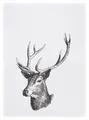 Produktbild: Geschirrtuch 17;30 Hamburg 100% Baumwolle Hirsch Herbst Winter grau  50x70cm