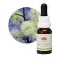 Produktbild: Bush Flower - Sunshine Wattle 15 ml - Blumenessenz