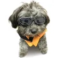 Produktbild: Hundebrille Kleiner Rasse Hund Sonnenbrille UV-Schutz Winddicht Staubdicht