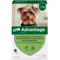 Produktbild: Advantage 40 Lösung f.Hunde bis 4 kg 4 St