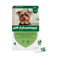 Produktbild: Elanco Advantage Spot-On 40 für sehr kleine Hunde bis 4 kg Körpergewicht, schnelle Bekämpfung von Flöhen und Schutz vor Flohbefall für bis zu 4 Wochen, 4 Pipetten mit 0,4 ml Lösung