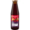Produktbild: Rabenhorst Eisen Plus Saft 450 ml