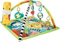 Produktbild: Fisher-Price Rainforest Spieldecke, Spielbogen/Decke