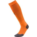 Produktbild: Puma Team LIGA Socks-703438 (39 - 42) (703438_08)