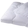 Produktbild: Steppbettdecke  200 x 200 cm Allergiker geeignet 60 Grad waschbar