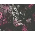 Produktbild: Vliestapete Blume Schwarz, Rot - 1,005.00 x 53.00 cm