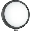 Produktbild: Steinel LED Sensorleuchte L 330 (815 lm, IP44) (53079)