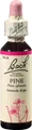 Produktbild: Nelsons GmbH BACHBLÜTEN Pine Tropfen 20 ml 00125925