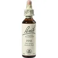 Produktbild: BACHBLÜTEN Pine Tropfen 20 ml