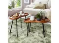 Produktbild: Couchtisch 2-teilig Massivholz Satztische Wohnzimmertisch Nierentisch Holz-Tisch