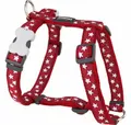 Produktbild: Red Dingo Hunde-Geschirr Hundegeschirr Style Rot Stern 30-48 cm