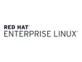 Produktbild: Red Hat Enterprise Linux Server - Premium-Abonnement (1 Jahr)
