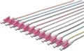 Produktbild: DIGITUS LWL Pigtails LC simplex OM4 12Stk 2.00m