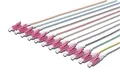 Produktbild: DIGITUS LWL Pigtails - 12 Stück - LC - Simplex - OM4 - Farbcode DIN IEC 304 - Fibre-Optic - Netzwerk-Technik - Länge 2m