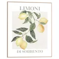Produktbild: Gerahmtes Bild Wandbild Kunstdruck MDF Braun Gelb Grün 40 x 50 cm Limoni
