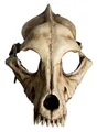 Produktbild: Andracor - Handgefertigte & handbemalte Kunstharz-Tiermaske - Wolfsschädel - Knochenfarben - individuell einsetzbar für LARP, Mittelalter, Fantasy & Cosplay