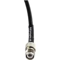 Produktbild: AIR-CAB020LL-R neu