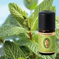 Produktbild: PRIMAVERA Pfefferminze Bio 5 ml