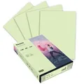 Produktbild: Inapa Kopierpapier tecno colors, 2100011343, A4, 120g/qm, hellgrün, 250 Blatt