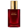 Produktbild: DAVIDOFF Cool Elixir Safran Mineral Parfum Intense 50 ml