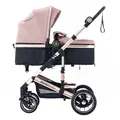 Produktbild: Daliya® NEOMOVE 2in1 Kombi-Kinderwagen | Buggy | klappbare Babywanne und Sportsitz | Große Räder | Rückenlehne stufenlos | Leichter Alu-Rahmen | Großer Einkaufskorb (Gold-Rosa)