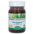 Produktbild: Gerstengras 400 mg Tabletten 250 St
