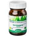 Produktbild: GERSTENGRAS 400 mg Tabletten