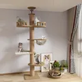 Produktbild: Kratzbaum deckenspanner,Raumkapsel,Katzenhängematte, Vollständig mit Sisalsei...